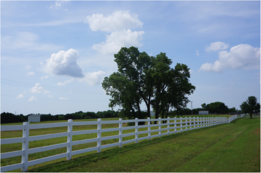 pasture